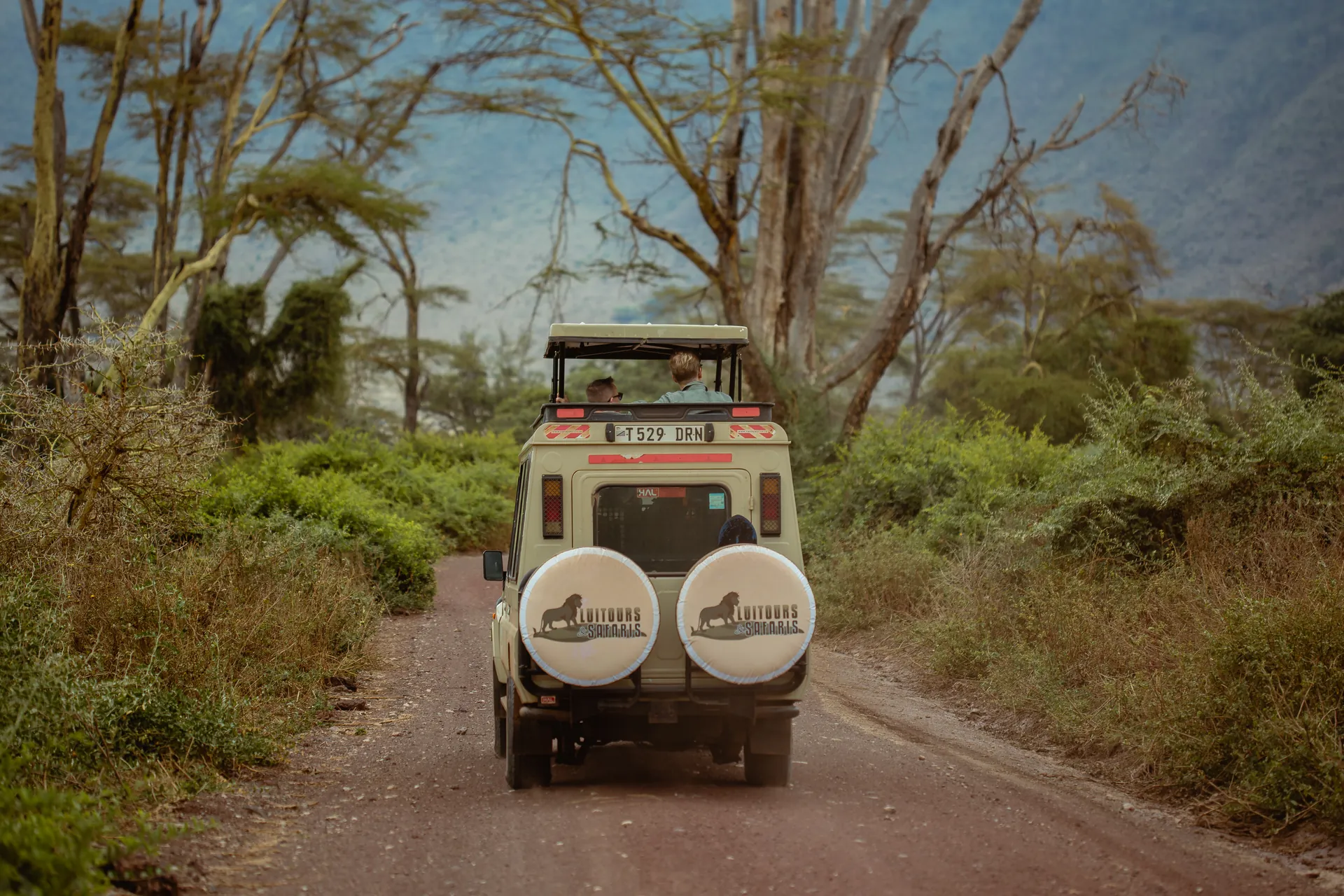 Wildlife in an East African safari landscape